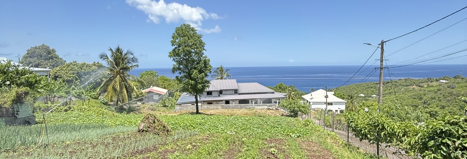 Terrain  1000 m² à vendre à Vieux-Habitants (97119)