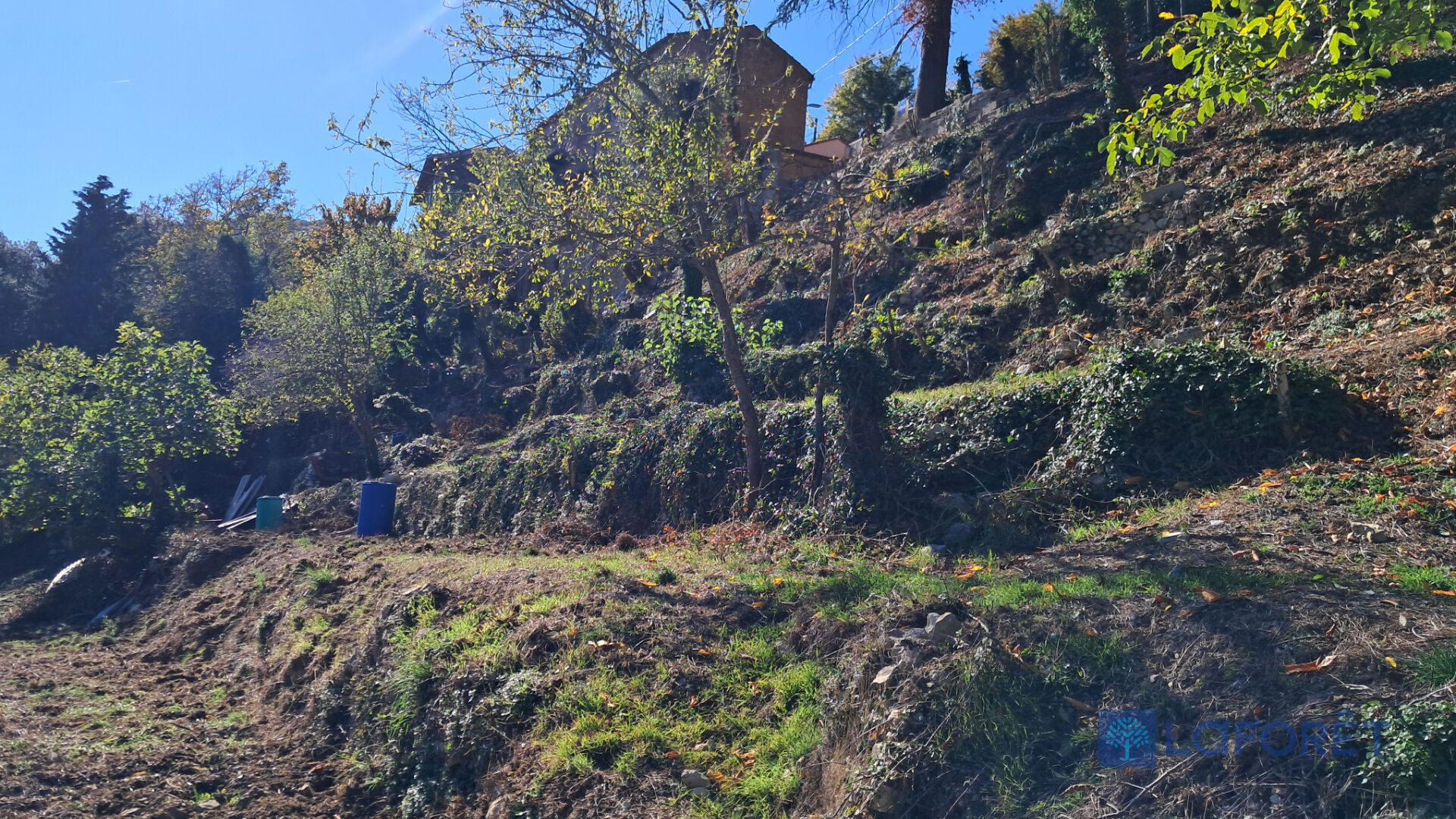 Agence immobilière de Laforêt Nice