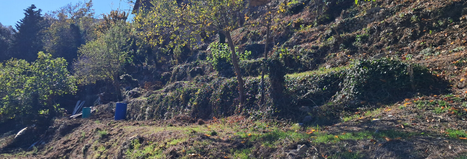 Terrain  2313 m² à vendre à Castillon (06500)