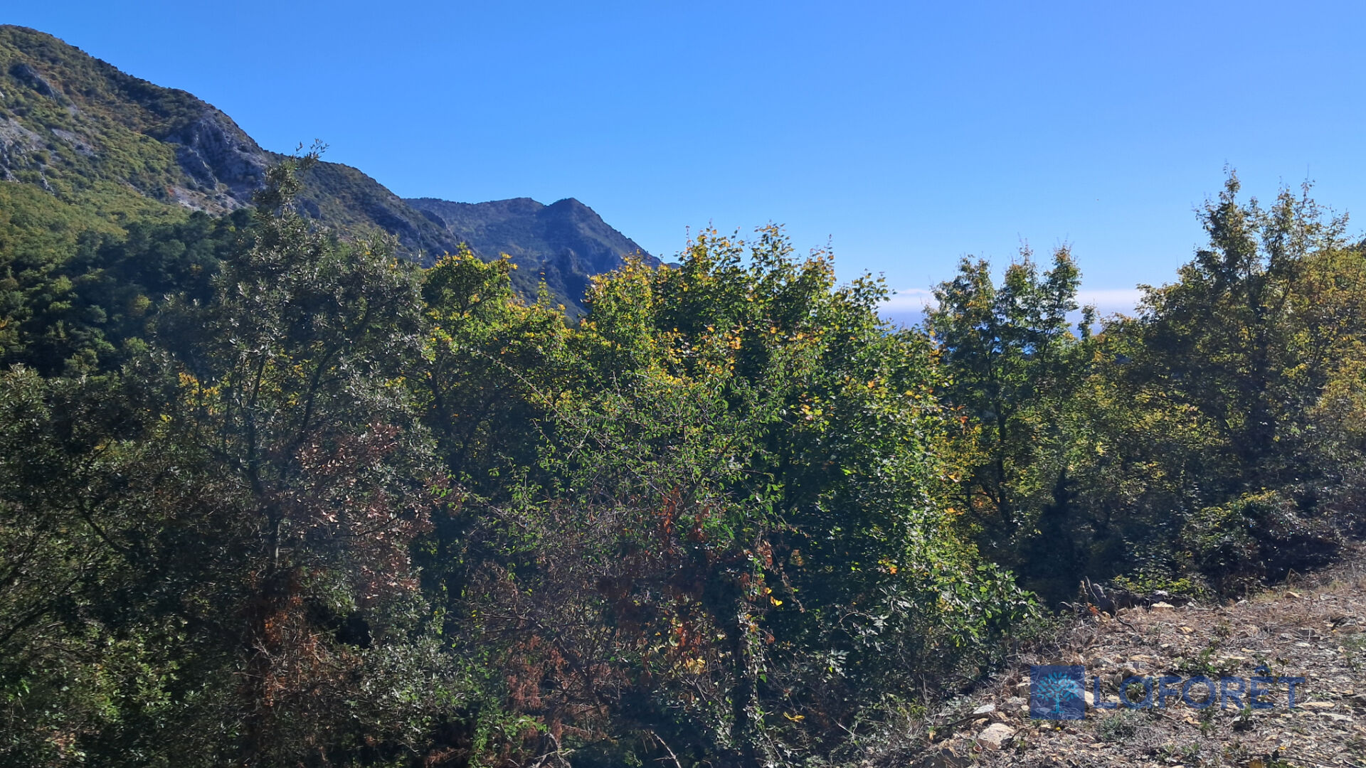 Terrain constructible Castillon