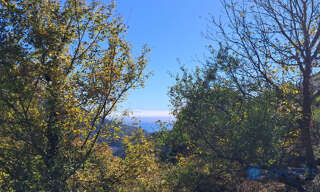 Terrain  1561 m² à vendre à Castillon (06500)