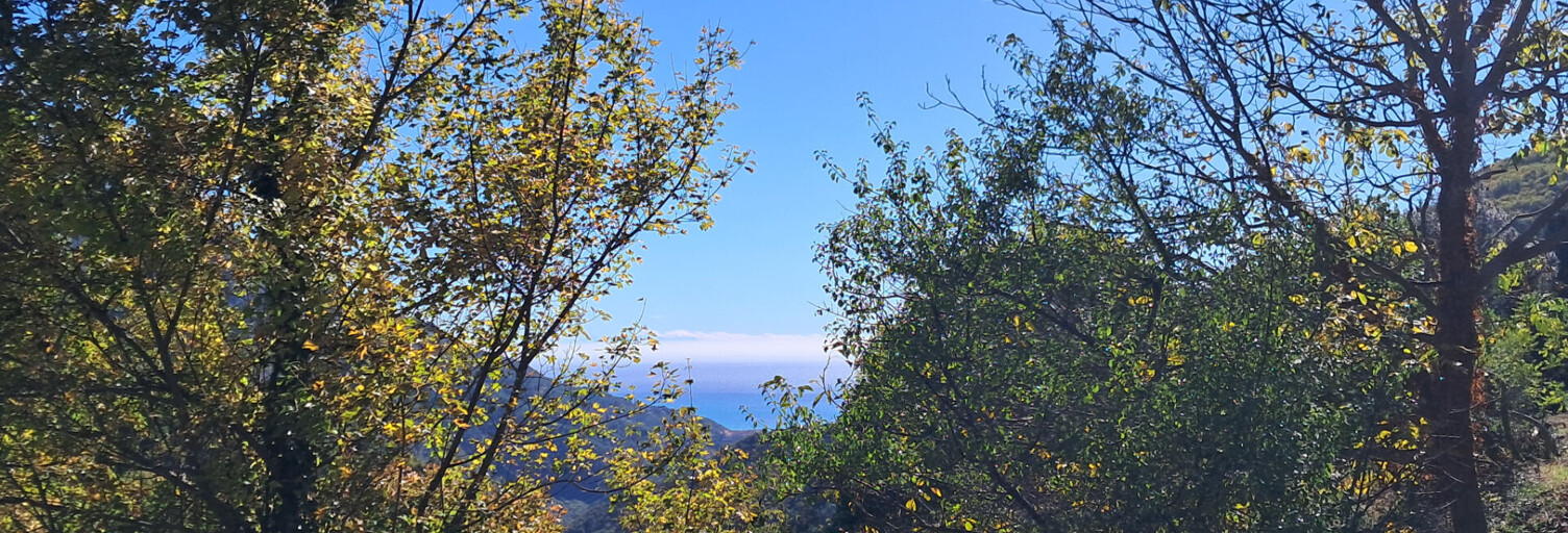 Terrain  1561 m² à vendre à Castillon (06500)