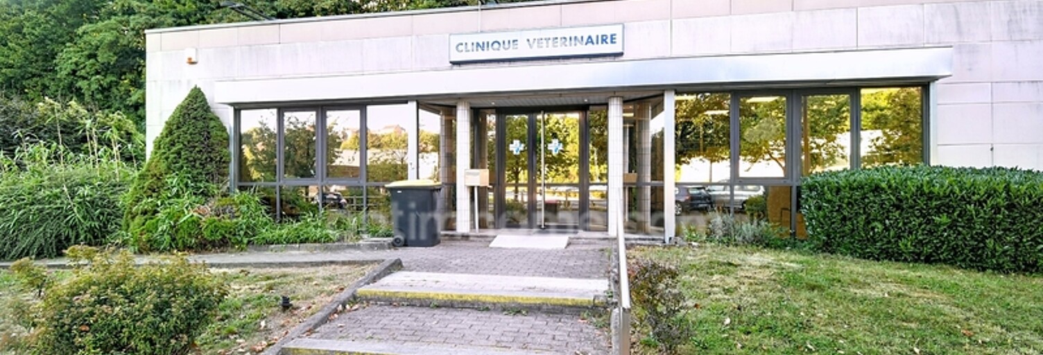 Local industriel 12 Pièces 300 m² à vendre à Longwy (54400)