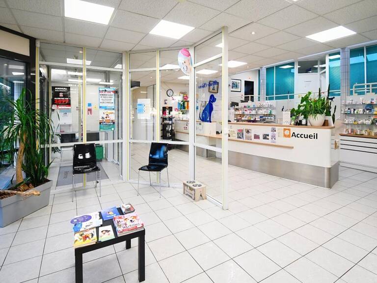 CLINIQUE VÉTÉRINAIRE DE 300 M² SUR TERRAIN DE 1 194 M² – LONGWY — photo 1