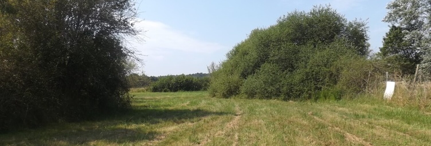 Terrain  1753 m² à vendre à Le Pizou (24700)