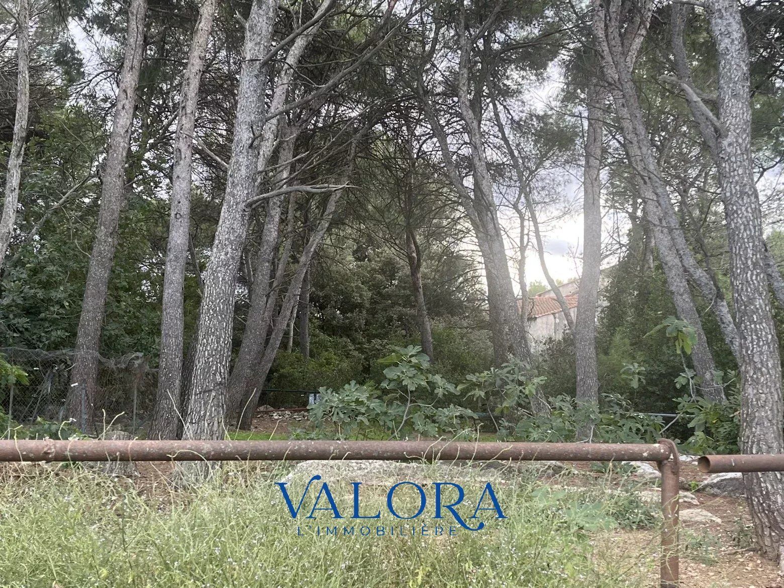 Terrain  à vendre Beaucaire 30300