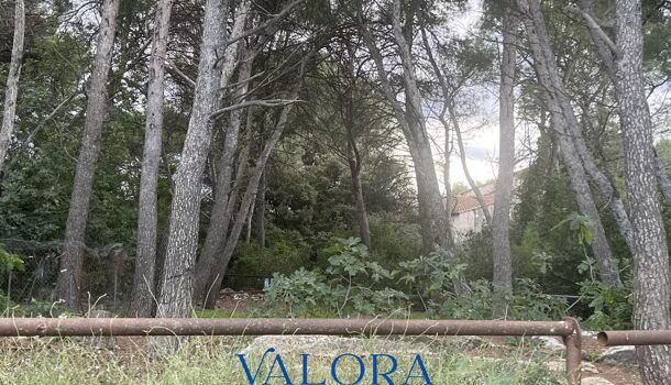 Terrain  à vendre Beaucaire 30300