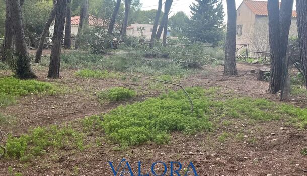 Terrain  à vendre Beaucaire 30300