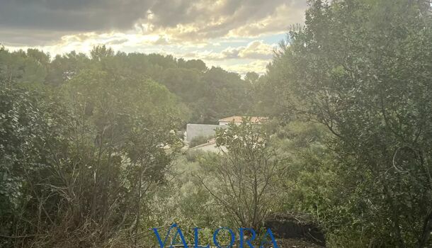 Terrain  à vendre Beaucaire 30300