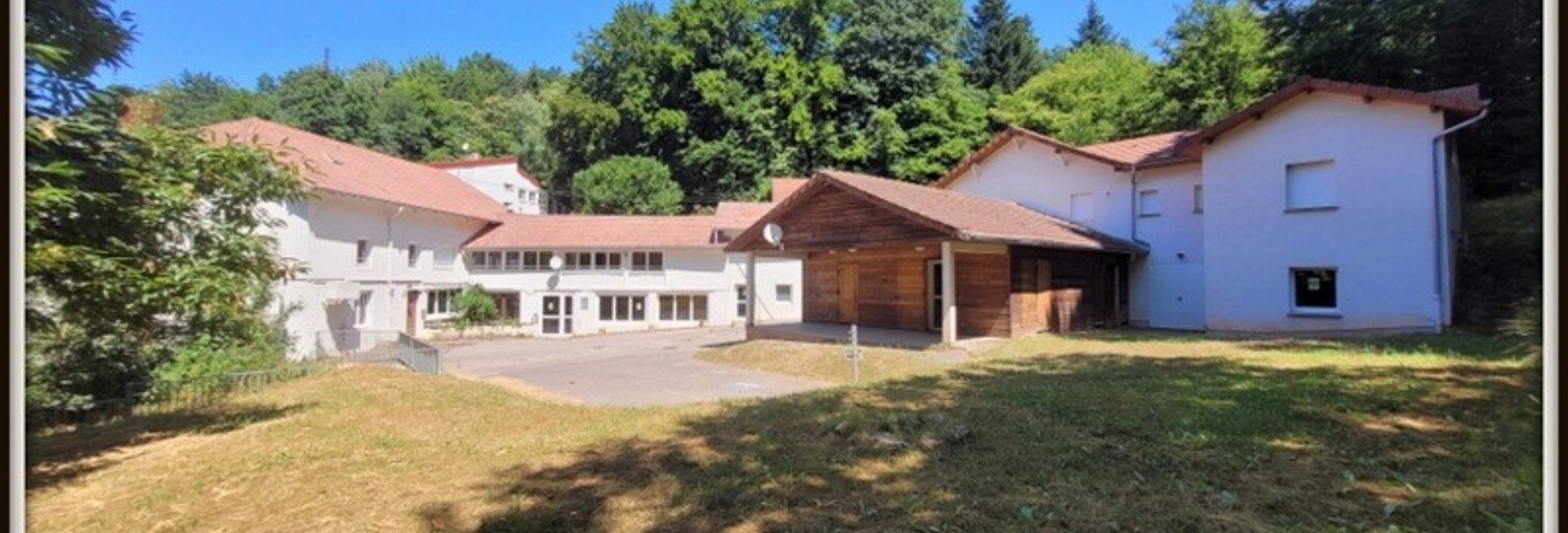 Maison 50 Pièces 1400 m² à vendre à Pexonne (54540)