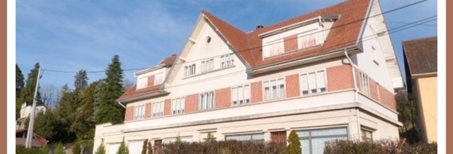 Maison 29 Pièces 663 m² à vendre à Sarralbe (57430)