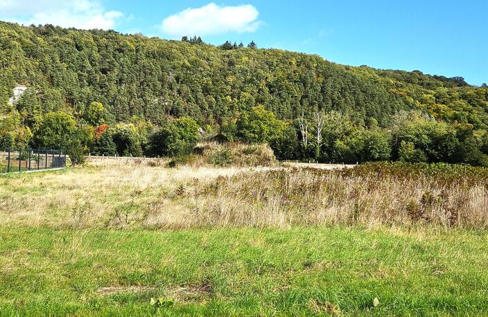 Terrain — photo 2
