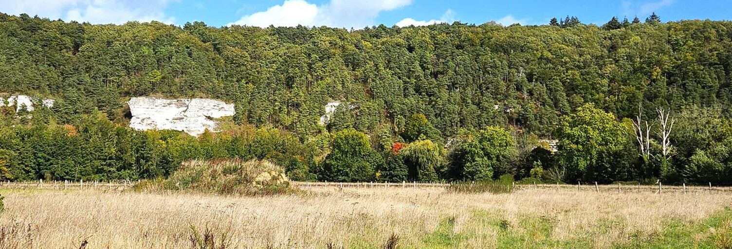 Photo N° 2