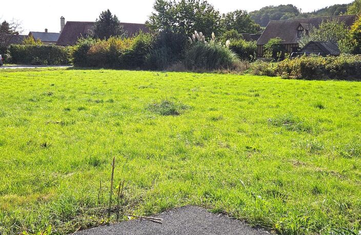 Terrain — photo 2