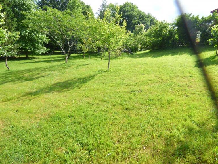 Terrain À Vendre — photo 1
