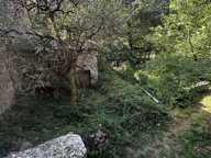 typique maison cevenole avec jardin à RENOVER. — photo 4