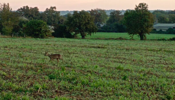 Villa / Maison 7 pièces  à vendre Bougarber 64230