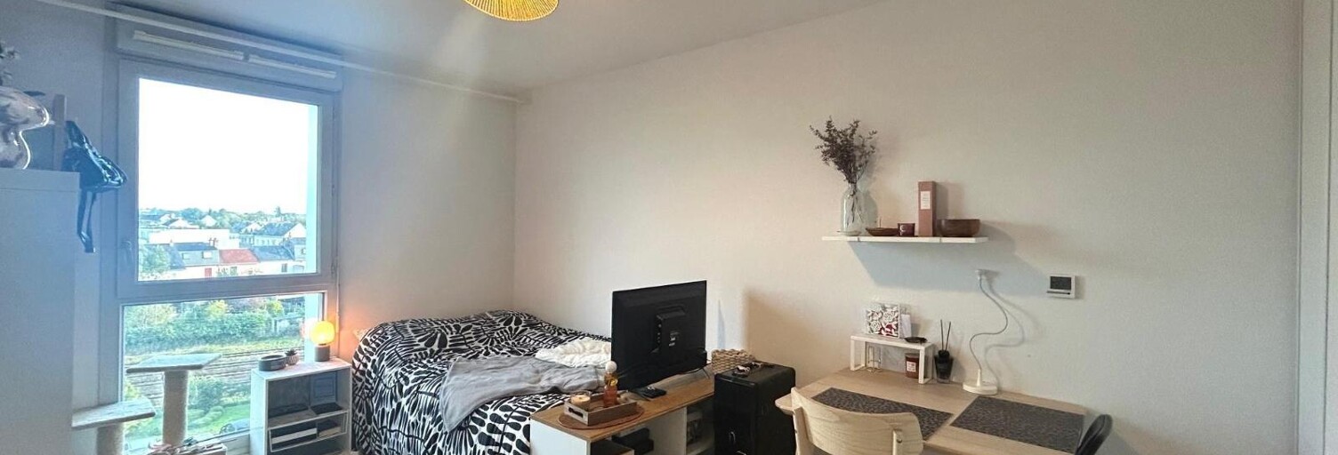 Appartement 1 Pièce 19 m² à louer à Tours (37000)