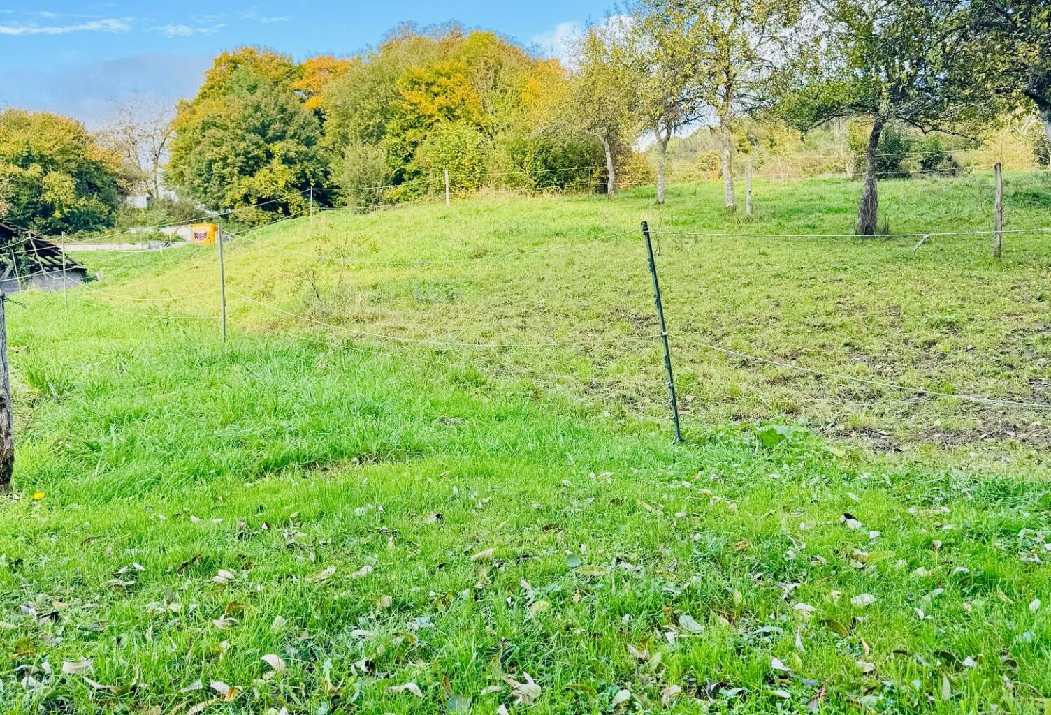 Un coin de nature pour votre future maison — photo 1