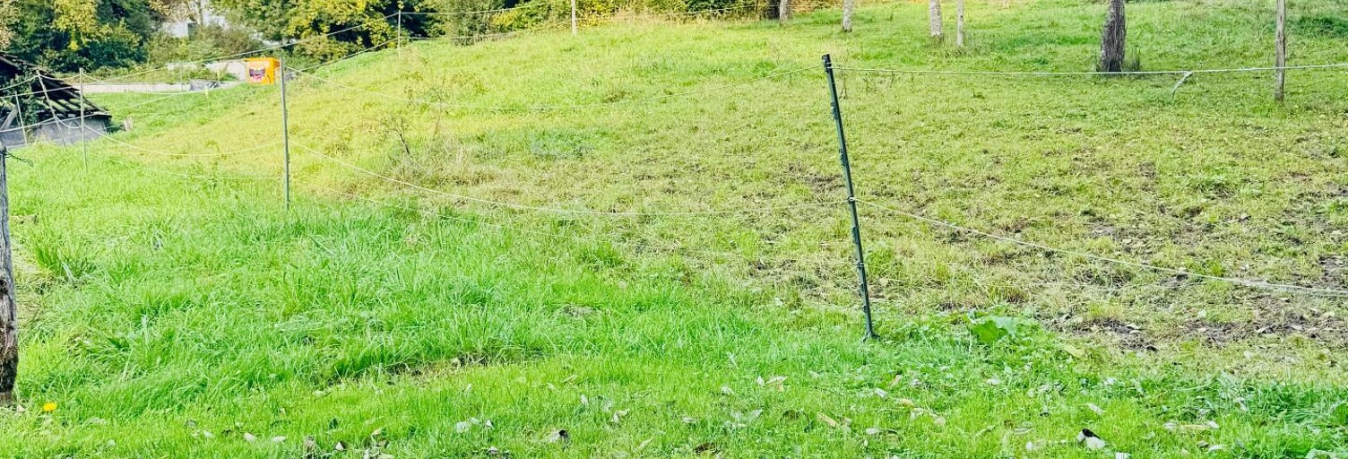 Terrain  1700 m² à vendre à Circourt (88270)