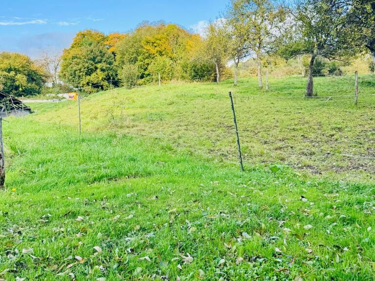 Un coin de nature pour votre future maison — photo 1