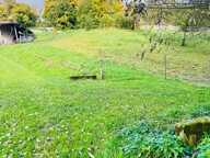 Un coin de nature pour votre future maison — photo 2