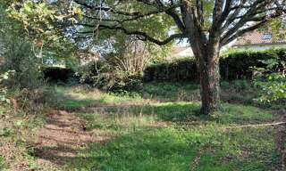 Terrain  3430 m² à vendre à La Pacaudière (42310)