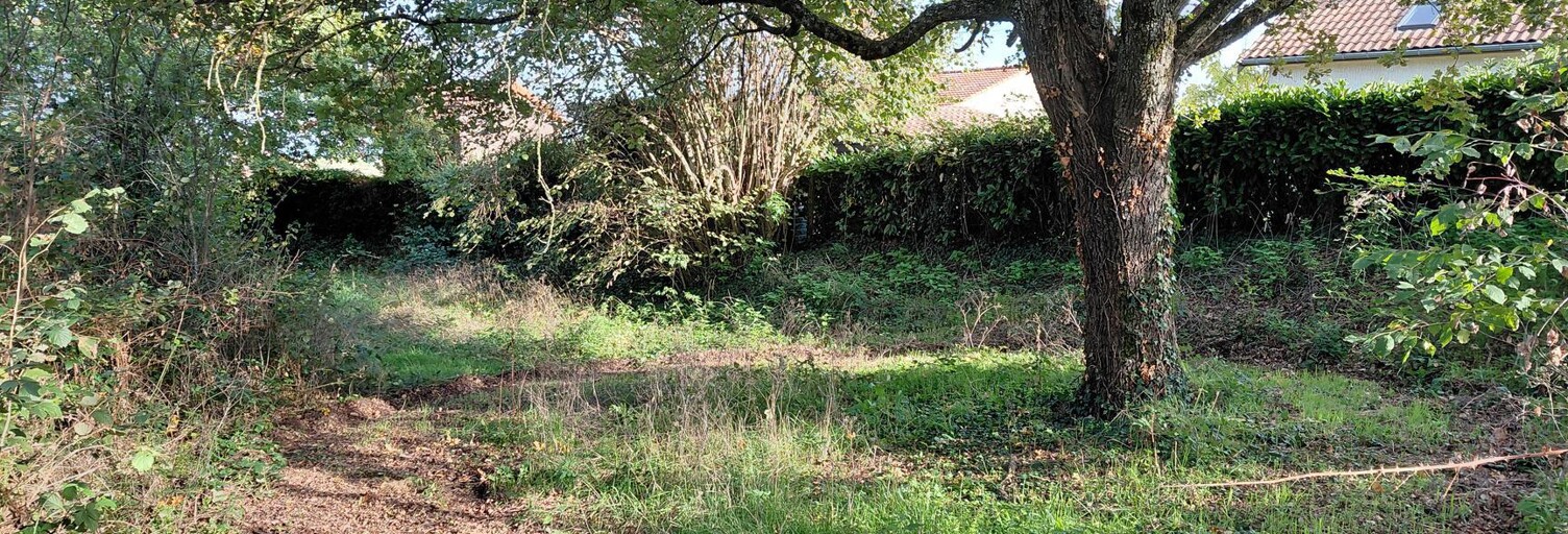 Terrain  3430 m² à vendre à La Pacaudière (42310)