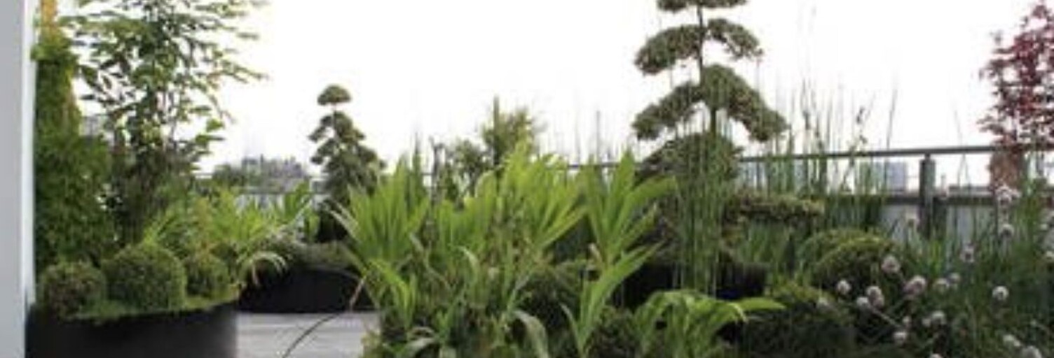 Appartement 4 Pièces 81 m² à vendre à Tassin-la-Demi-Lune (69160)