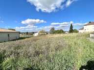 Terrain — photo 2