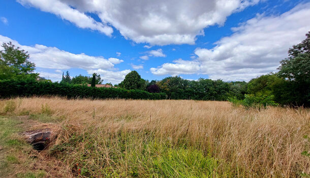 Terrain  à vendre Albi 81000