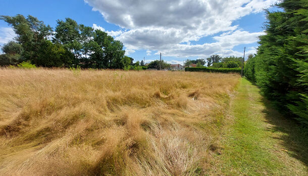 Terrain  à vendre Albi 81000