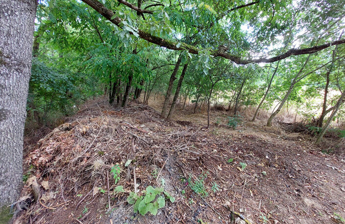 COMPROMIS - VENTE EN COURS - Albi Sud secteur 'école des Mines' Terrain Constructible 4279 m2 — photo 5