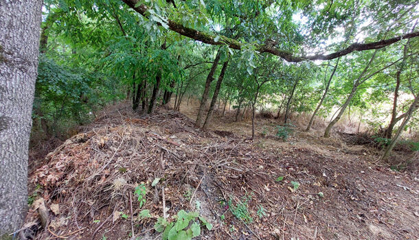 Terrain  à vendre Albi 81000