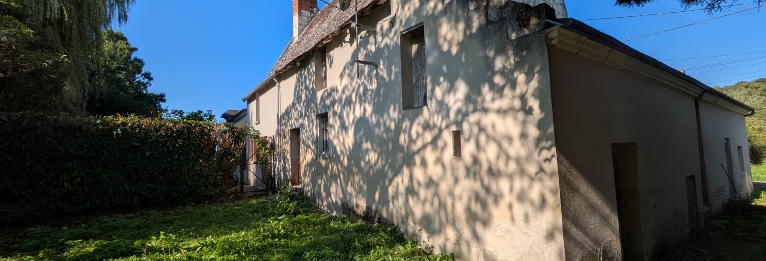 Maison 10 Pièces 196 m² à vendre à Coteaux-sur-Loire (37130)