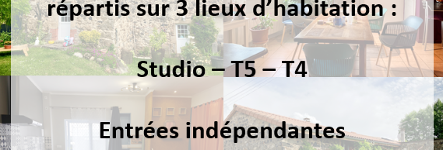 Maison 11 Pièces 310 m² à vendre à Sauxillanges (63490)