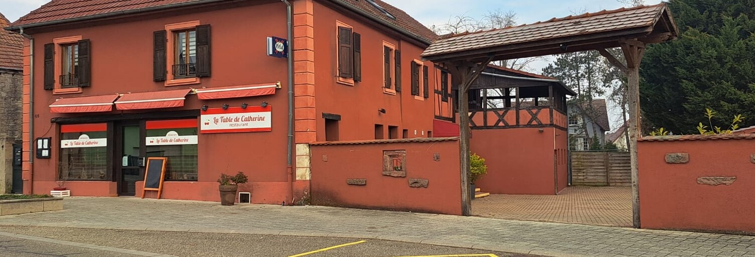 Immeuble  500 m² à vendre à Biesheim (68600)