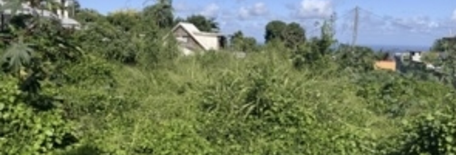 Terrain  400 m² à vendre à Saint-Pierre (97410)