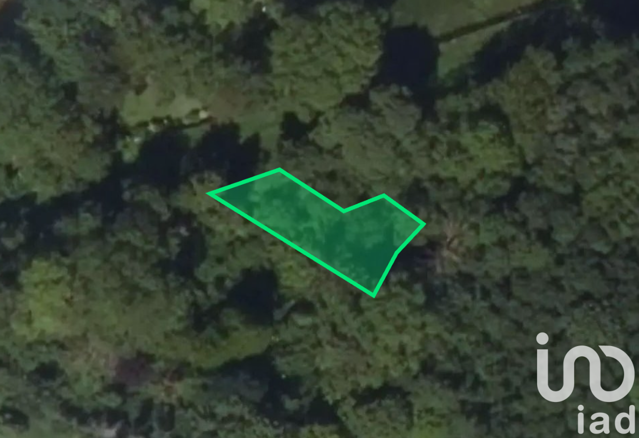 Conde-Sainte-Libiaire - 242m²