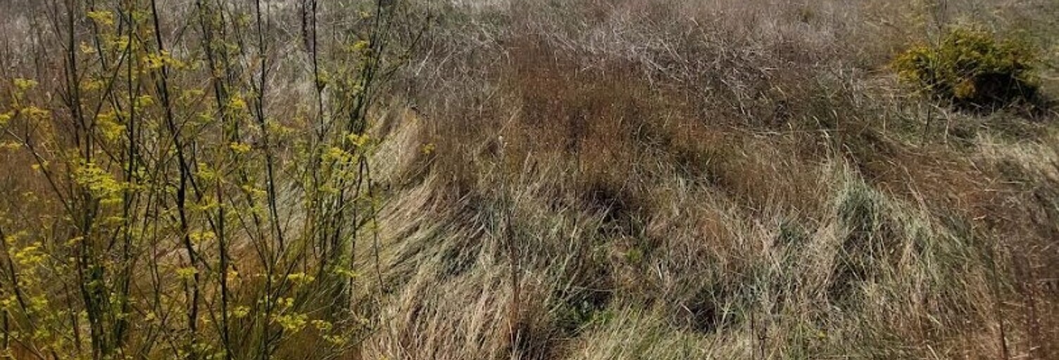 Terrain  6635 m² à vendre à Générac (30510)