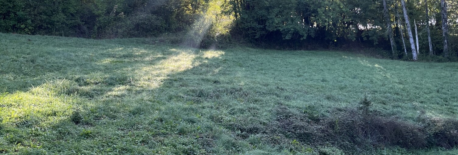 Terrain  4980 m² à vendre à Saint-Viance (19240)