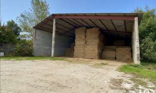 Commerce  360 m² à vendre à Saint-Félix-Lauragais (31540)