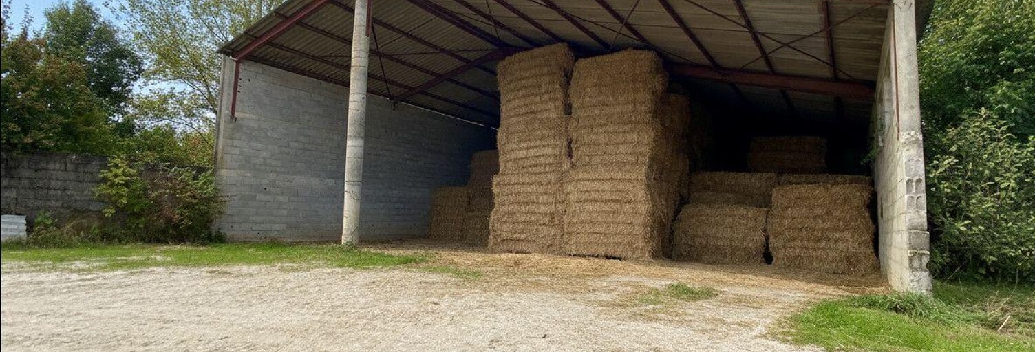 Commerce  360 m² à vendre à Saint-Félix-Lauragais (31540)