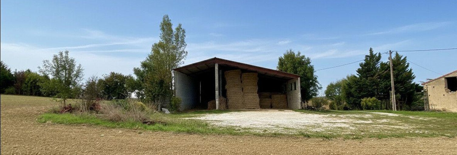 Commerce  360 m² à vendre à Saint-Félix-Lauragais (31540)