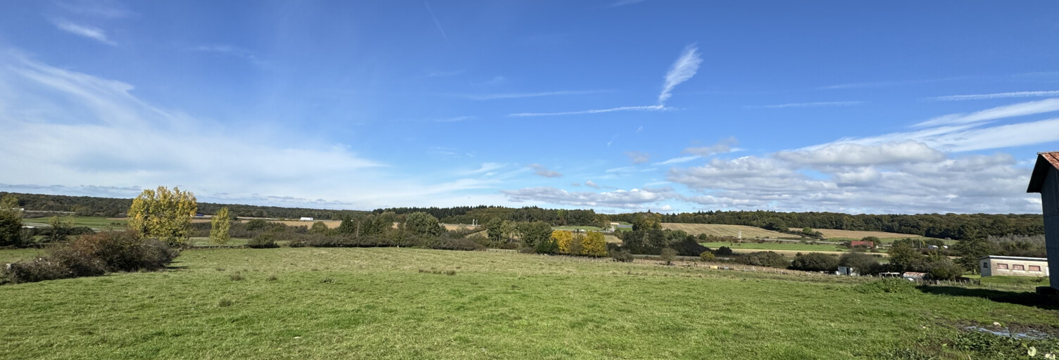 Terrain  29341 m² à vendre à Lure (70200)