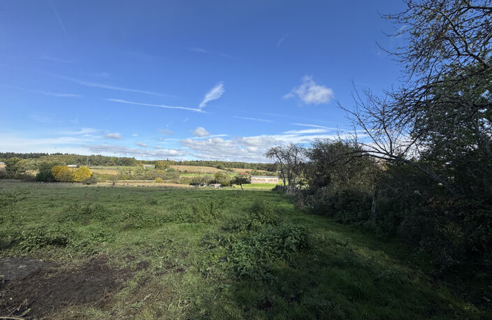 Vente terrain de 2,93 ha dont environ 20 ares constructible — photo 4