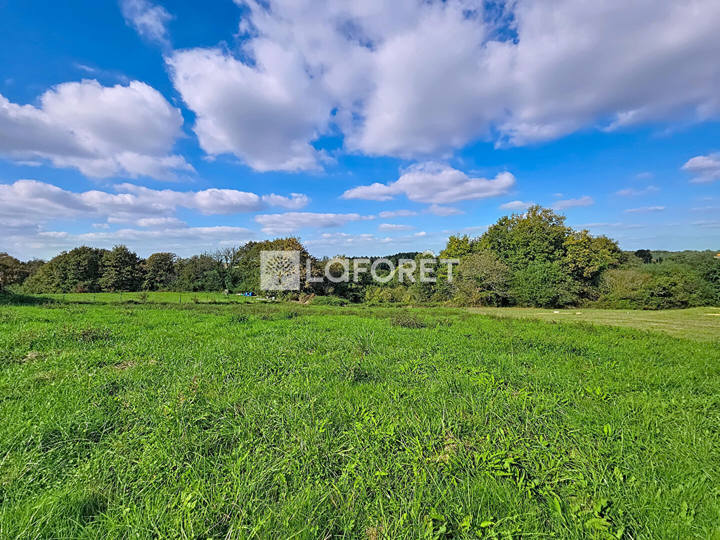 Terrain  à vendre Orthez 64300