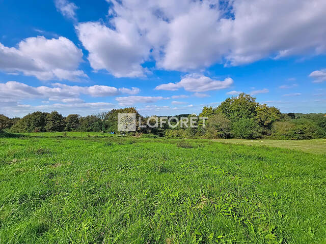Terrain à bâtir Proche Orthez 1800m² — photo du bien