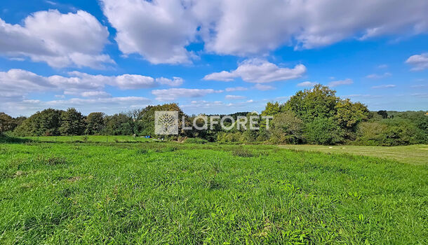 Terrain  à vendre Orthez 64300