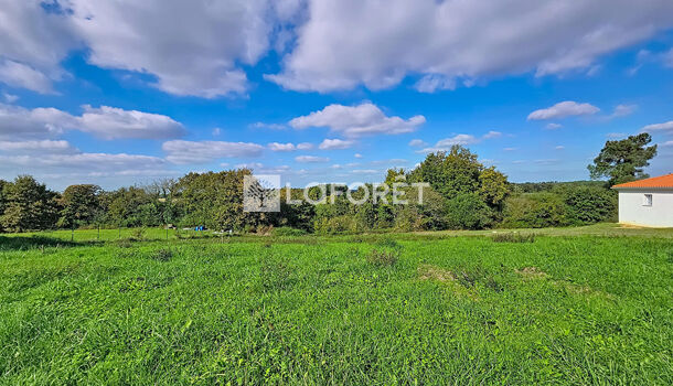 Terrain  à vendre Orthez 64300